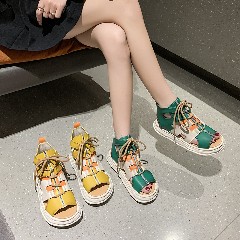 美中对-6612