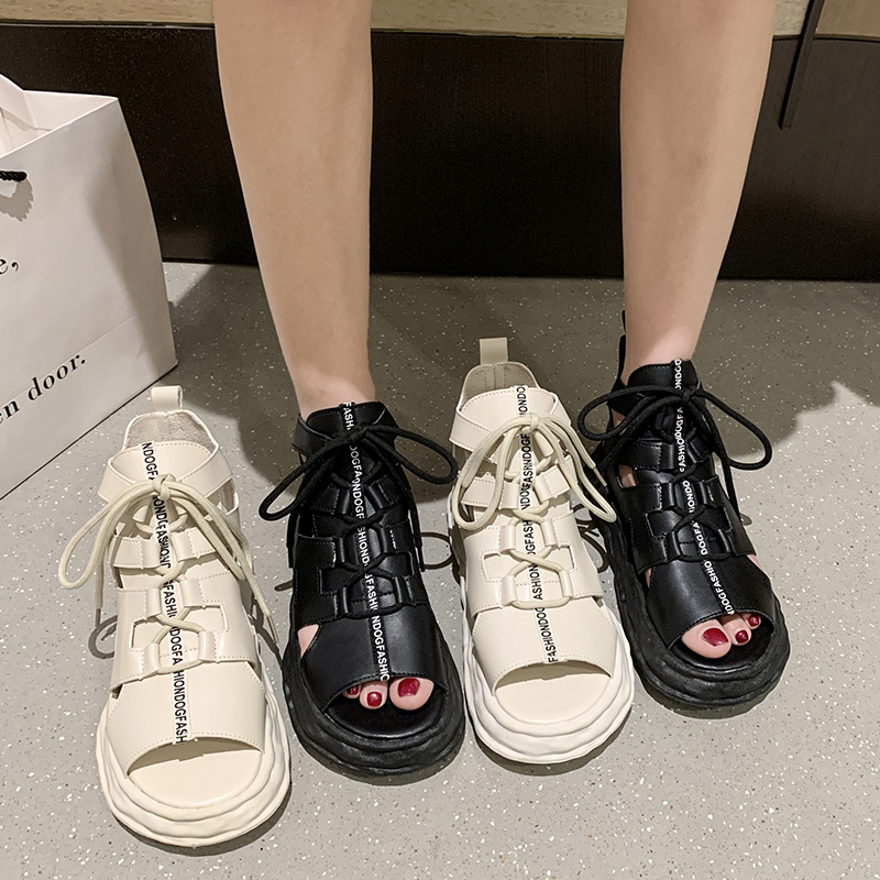 美中对-6611